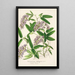 Hardenbergia Makoyana hybrida - Charles Antoine Lemaire — gerahmtes Bild an der Wand