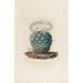 Reproduktion des Gemäldes Iconographie descriptive des cactées Pl02 - Charles Antoine Lemaire