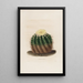 Iconographie descriptive des cactées Pl04 - Charles Antoine Lemaire — gerahmtes Bild an der Wand
