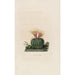 Reproduktion des Gemäldes Iconographie descriptive des cactées Pl05 - Charles Antoine Lemaire