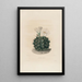 Iconographie descriptive des cactées Pl06 - Charles Antoine Lemaire — gerahmtes Bild an der Wand