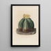 Reproduktion des Gemäldes Iconographie descriptive des cactées Pl07 - Charles Antoine Lemaire