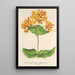 Reproduktion des Gemäldes Lonicera sempervirens Plantierensis - Charles Antoine Lemaire