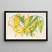 Methonica grandiflora - Charles Antoine Lemaire — gerahmtes Bild an der Wand