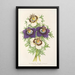 Reproduktion des Gemäldes Nigella hispanica Variétés de la - Charles Antoine Lemaire