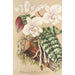 Phalaenopsis schilleriana - Charles Antoine Lemaire — Ansicht des Kunstwerks