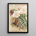 Phalaenopsis schilleriana - Charles Antoine Lemaire — gerahmtes Bild an der Wand