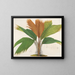 Phnicophorium des Seychelles - Charles Antoine Lemaire — gerahmtes Bild an der Wand