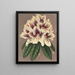 Rhododendron Archiduc Albert hybride - Charles Antoine Lemaire — gerahmtes Bild an der Wand