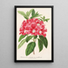 Reproduktion des Gemäldes Rhododendron azaleoides var. crispinorum - Charles Antoine Lemaire