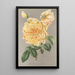 Rose Thé Jaune d'Or - Charles Antoine Lemaire — gerahmtes Bild an der Wand