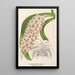 Saccolabium Blumei var. majus - Charles Antoine Lemaire — gerahmtes Bild an der Wand