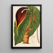 Reproduktion des Gemäldes Steudnera colocasifolia - Charles Antoine Lemaire