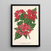 Reproduktion des Gemäldes Weigelia Middendorffiana var purpurata - Charles Antoine Lemaire
