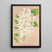 Wisteria sinensis DC var albiflora - Charles Antoine Lemaire — gerahmtes Bild an der Wand