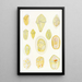 Les dinoflagellés libres non cuirassés pl 1 - Charles Atwood Kofoid — gerahmtes Bild an der Wand