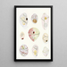 Les dinoflagellés libres non cuirassés pl 6 - Charles Atwood Kofoid — gerahmtes Bild an der Wand