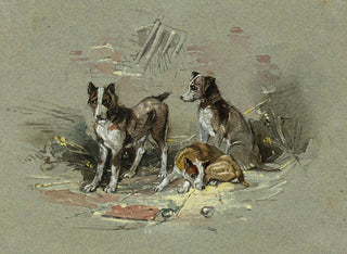 Drei Hunde in einer Gasse - Charles B Newhouse — Ansicht des Kunstwerks