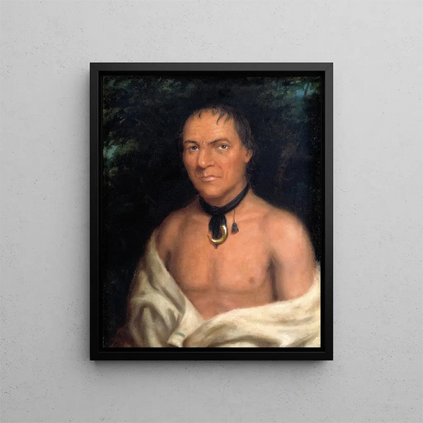 Cosneboin - Charles Bird King — gerahmtes Bild an der Wand