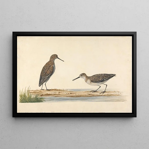 Charles Collins - A Pair of Stints.webp