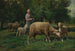 Bergère avec Moutons - Charles Émile Jacque — Ansicht des Kunstwerks