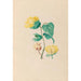 Reproduktion des Gemäldes Zeichnungen von tropischen Blumen und Früchten aus Südamerika Pl05 - Charles Empson