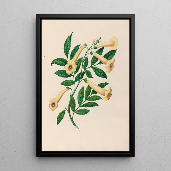 Reproduktion des Gemäldes Blumen- und tropische Fruchtdesigns aus Südamerika Pl31 - Charles Empson