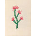 Blumen- und tropische Fruchtdesigns aus Südamerika Pl34 - Charles Empson — Ansicht des Kunstwerks