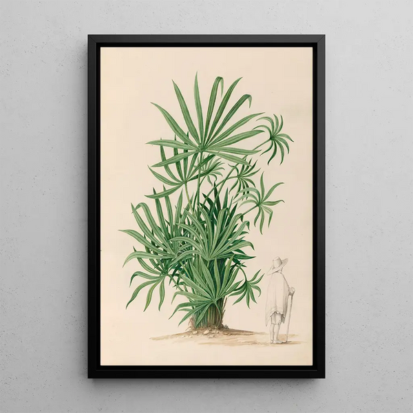 Blumen- und tropische Fruchtzeichnungen aus Südamerika Pl37 - Charles Empson — gerahmtes Bild an der Wand