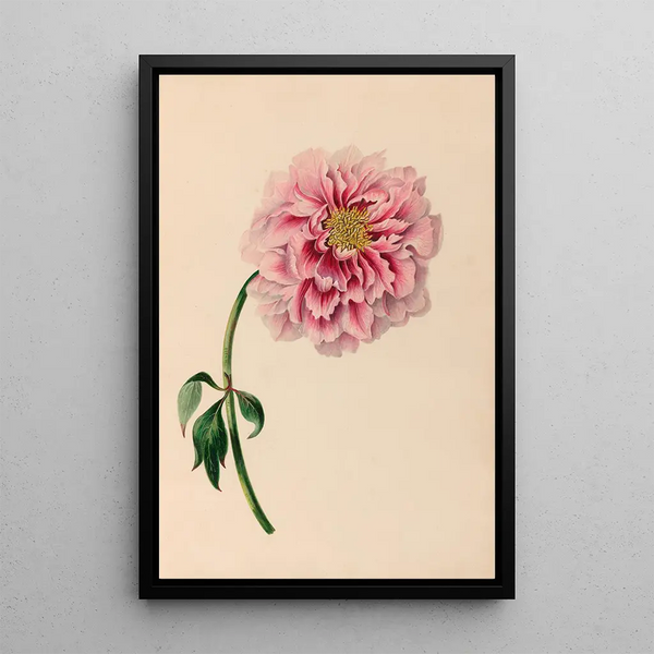 Reproduktion des Gemäldes Blumen- und tropische Fruchtdesigns aus Südamerika Pl38 - Charles Empson