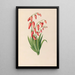 Zeichnungen von tropischen Blumen und Früchten aus Südamerika Pl39 - Charles Empson — gerahmtes Bild an der Wand