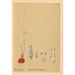 Heilpflanzen Pl055 - Charles Frederick Millspaugh — Ansicht des Kunstwerks