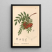 Pflanzen Heilpflanzen Pl149 - Charles Frederick Millspaugh — gerahmtes Bild an der Wand