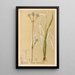 Reproduktion des Gemäldes Pflanzenheilmittel Pl155 - Charles Frederick Millspaugh