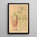 Heilpflanzen Pl161 - Charles Frederick Millspaugh — gerahmtes Bild an der Wand
