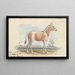 Asinus Onager Cheval - Charles Hamilton Smith — gerahmtes Bild an der Wand