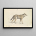 Kojote aus Mexiko - Charles Hamilton Smith — gerahmtes Bild an der Wand