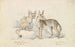 Fennec von Bruce und Fennec mit rotem Rücken - Charles Hamilton Smith — Ansicht des Kunstwerks