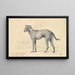 Wildhund von Saint-Domingue - Charles Hamilton Smith — gerahmtes Bild an der Wand