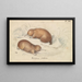 Echidné à long bec - Charles Hamilton Smith — gerahmtes Bild an der Wand