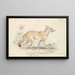 Renard chien pâle - Charles Hamilton Smith — gerahmtes Bild an der Wand