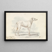 Parent des modernen Kutschenhundes Hund Drehbock - Charles Hamilton Smith — gerahmtes Bild an der Wand