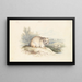 Viscache des Plaines - Charles Hamilton Smith — gerahmtes Bild an der Wand