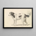 Der Bernhardiner oder Hund des Montagne - Charles Hamilton Smith — gerahmtes Bild an der Wand