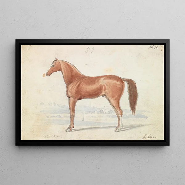 Charles Hamilton Smith - The English RaceHorse.webp