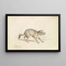 Wildhund von Natolla - Charles Hamilton Smith — gerahmtes Bild an der Wand