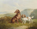 Zwei Hunde - Charles Jones — Ansicht des Kunstwerks