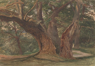 Charles Reginald Aston - Trees in a Landscape.webp