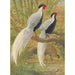 Reproduktion des Gemäldes Chinesisches silbernes Kaleege-Gemälde - Charles Robert Knight