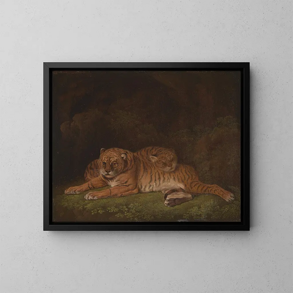 Tigres - Charles Towne — gerahmtes Bild an der Wand